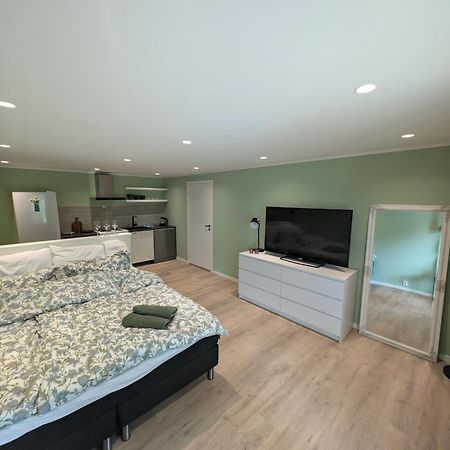 Reinebringen View Apartment エクステリア 写真