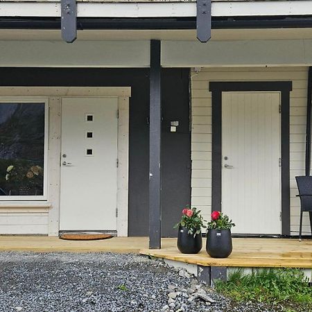 Reinebringen View Apartment エクステリア 写真